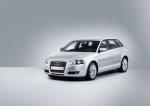 Audi A3 Sportback 1.9 TDI 2004 года (WW)